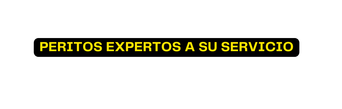 PERITOS EXPERTOS A SU SERVICIO