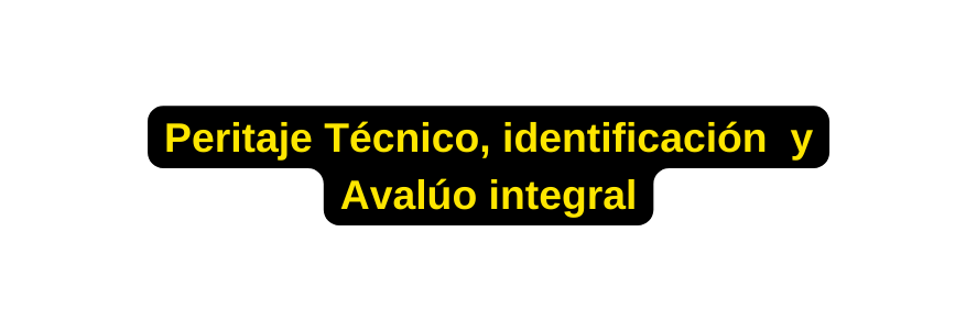 Peritaje Técnico identificación y Avalúo integral